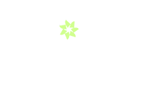 Spark Mindset App