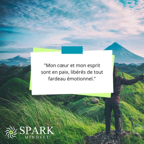 affirmation positive de l'application mobile Spark Mindset pour cultiver la résilience et la persévérance et changer ses habitudes.