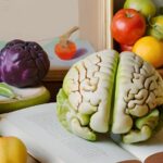Burnout et cerveau, comprendre les bienfaits de l'alimentation, les bienfaits de la B12, livre,pour un cerveau en bonne santé